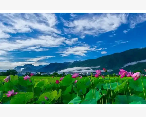 什么时候打坐对脾胃好呢？