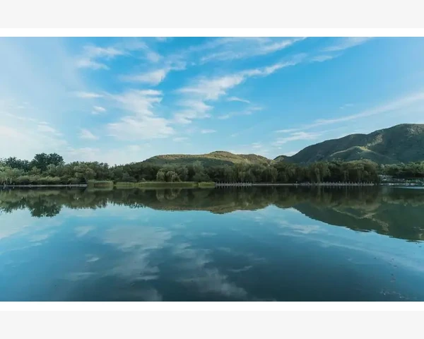 橙子水管不管之和化痰：从中医角度解析健康呼吸的重要性